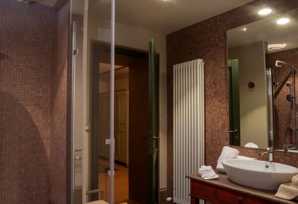 Winery Alpe Villa: Bathroom