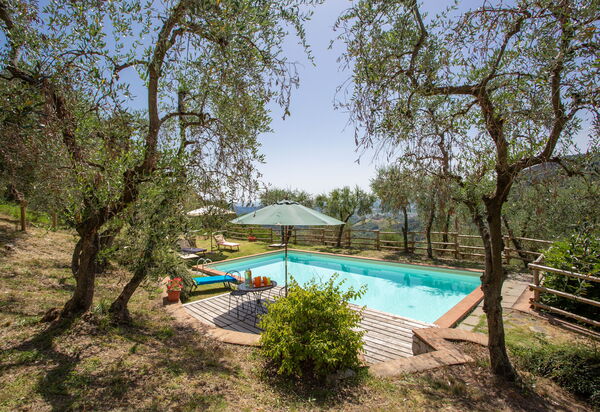 Villa Mastiano: Giardino, Piscina