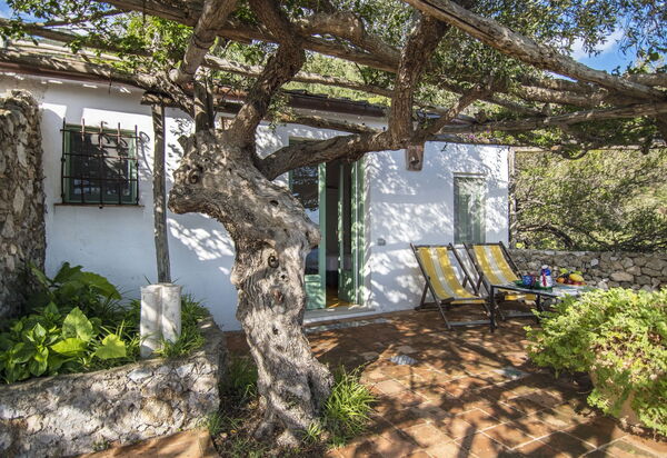 Maiori Chalet: Amenities