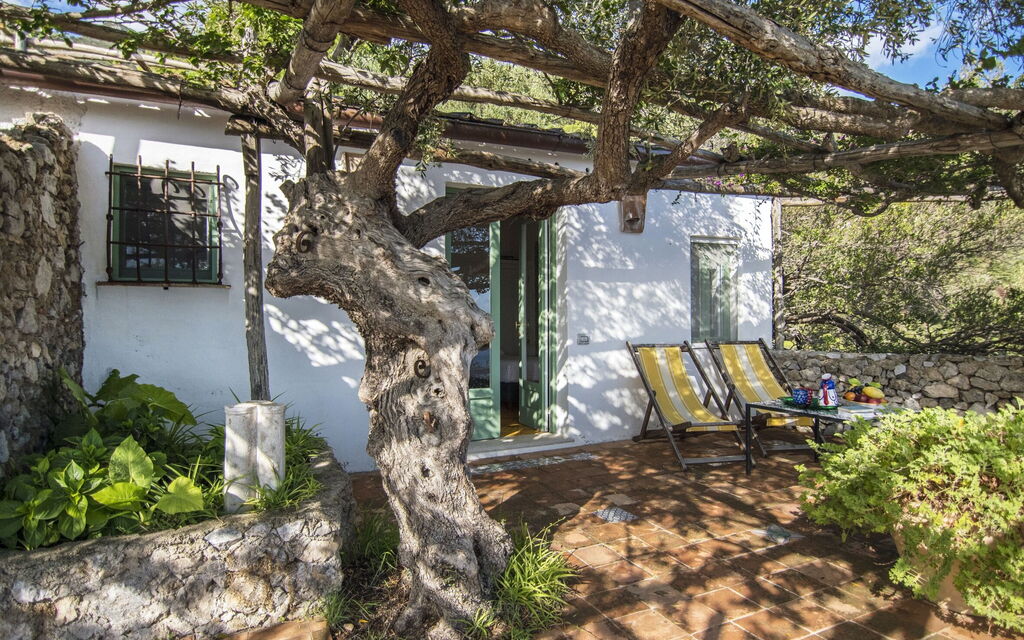 Maiori Chalet: Caratteristiche