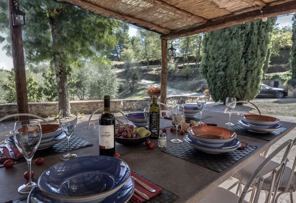 Stony Tuscan Farm: Balcone / Terrazza / Patio, Giardino