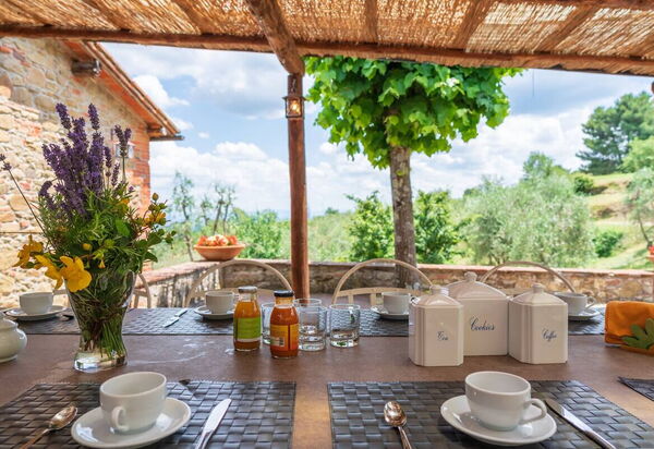 Stony Tuscan Farm: Balcone / Terrazza / Patio, Giardino