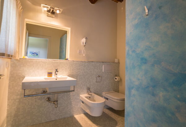 La Loggia Valdorciana: Bagno