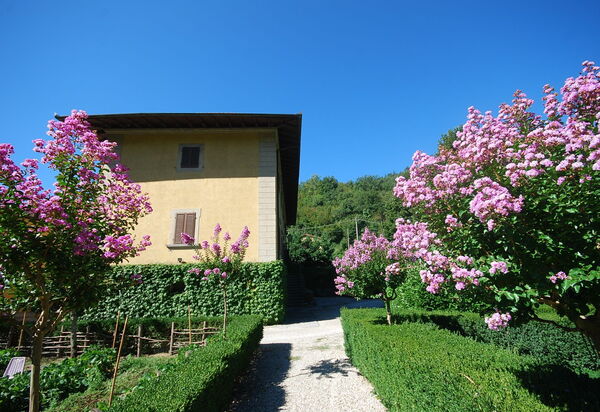 Villa Salaiole: Esterni