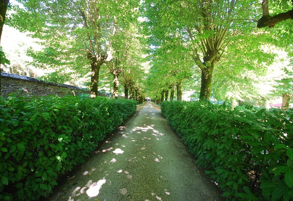 Villa Salaiole: Entrata Principale