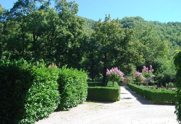 Villa Salaiole: Giardino