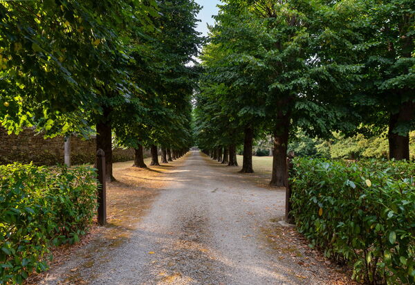 Villa Salaiole