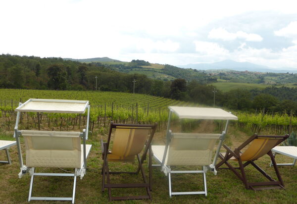 Villa Cenerentola: Building Exterior, Garden, Scenic View