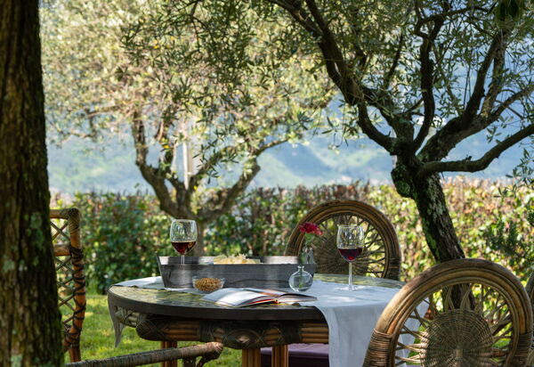 Casa Pedona: Esterni, Giardino, Vista Panoramica