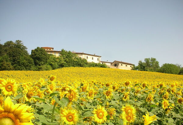 Villa i Delfini: Vista Panoramica