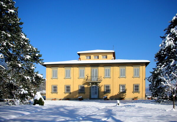 Villa i Delfini: Esterni