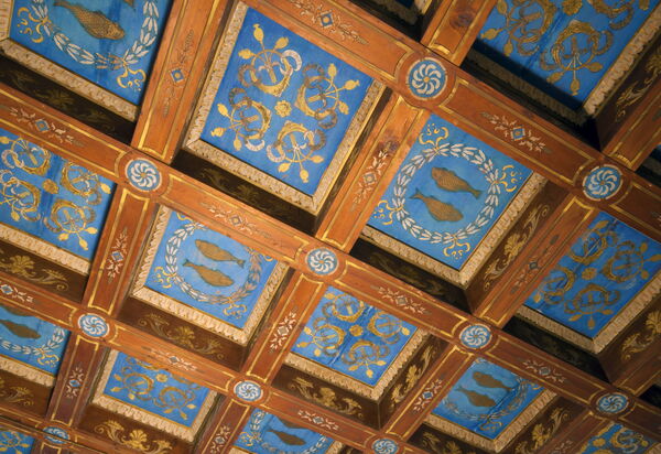 Villa i Delfini: Dettagli della stanza