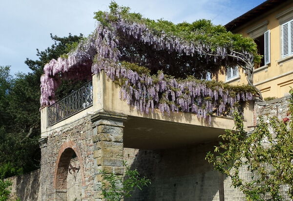 Villa i Delfini: Balcone / Terrazza / Patio