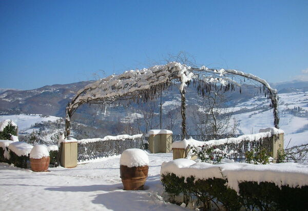 Villa i Delfini: Giardino