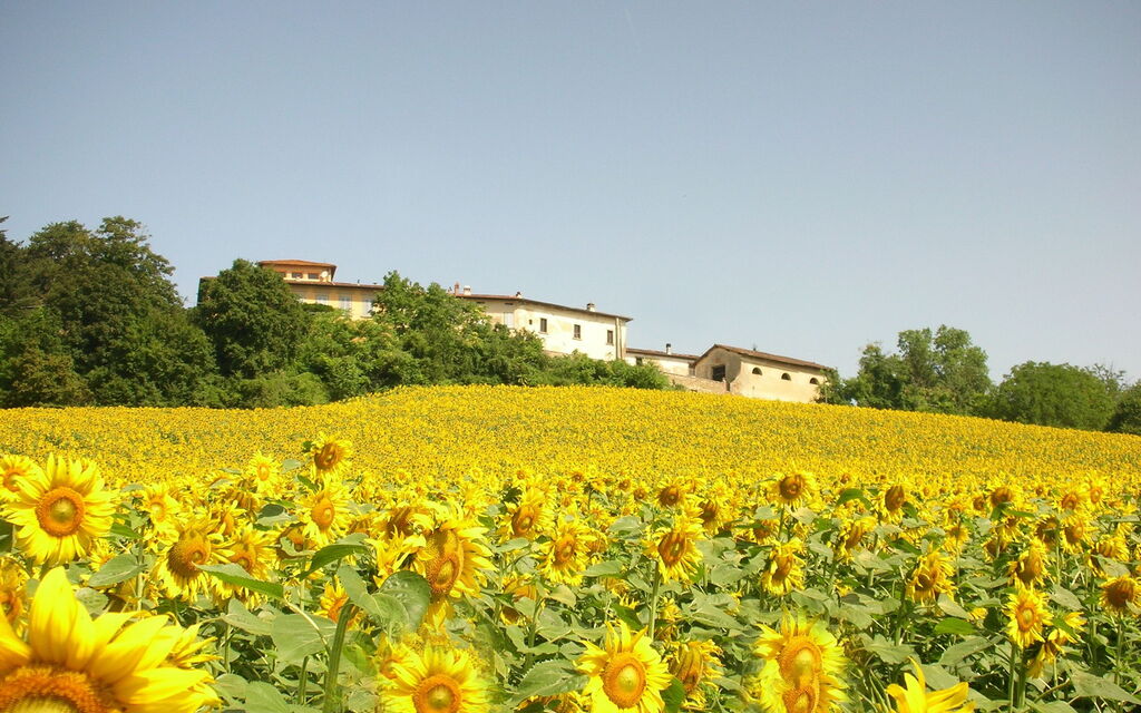 Villa i Delfini: Vista Panoramica