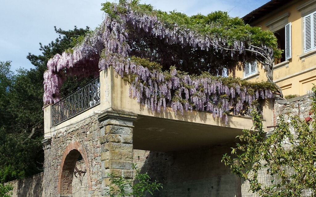 Villa i Delfini: Balcone / Terrazza / Patio