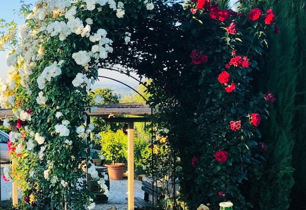 Agriturismo i Colli: Outdoor