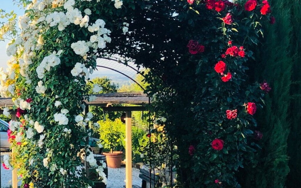 Agriturismo i Colli: Outdoor