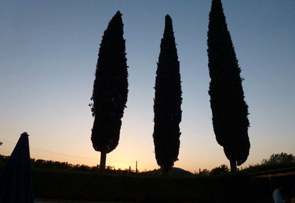 Villa San Biagio: Autunno, Estate, Esterni, Primavera