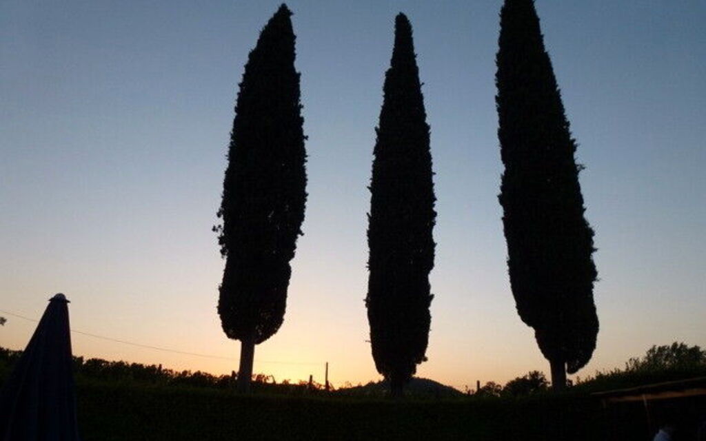 Villa San Biagio: Autumn, Building Exterior, Spring, Summer