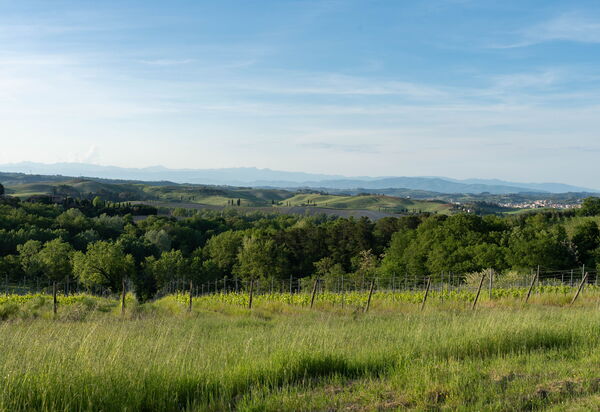 Villa Noemi: Autunno, Estate, Primavera, Vista Panoramica