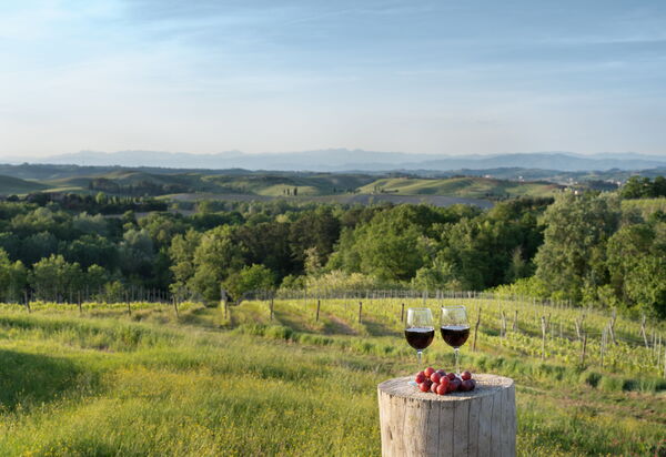 Villa Noemi: Autunno, Estate, Primavera, Vista Panoramica