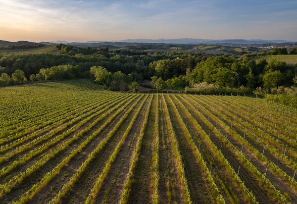 Villa Noemi: Autunno, Estate, Primavera, Vista Panoramica