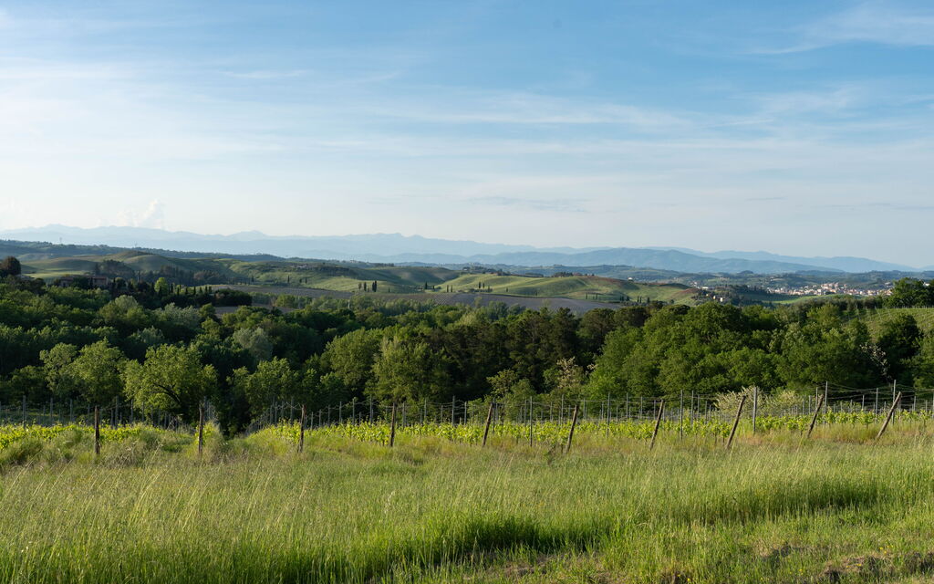 Villa Noemi: Autunno, Estate, Primavera, Vista Panoramica