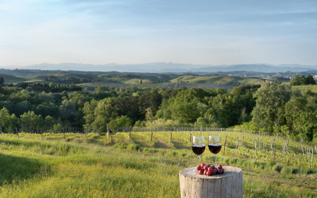 Villa Noemi: Autunno, Estate, Primavera, Vista Panoramica