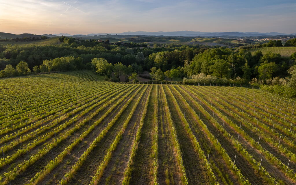 Villa Noemi: Autunno, Estate, Primavera, Vista Panoramica