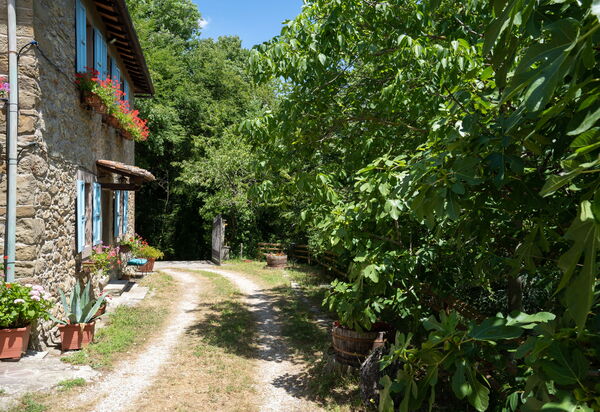 Podere La Vigna: Entrata Principale