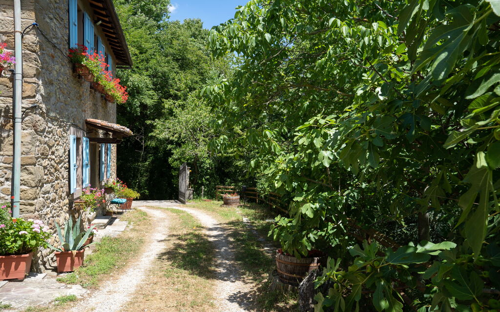 Podere La Vigna: Entrata Principale