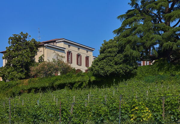 Villa Franciacorta: all'aperto, Autunno, Caratteristiche, Estate, Esterni, Giardino, Primavera
