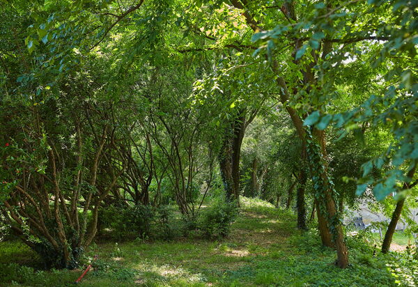 Villa Franciacorta: all'aperto, Autunno, Caratteristiche, Estate, Esterni, Giardino, Primavera