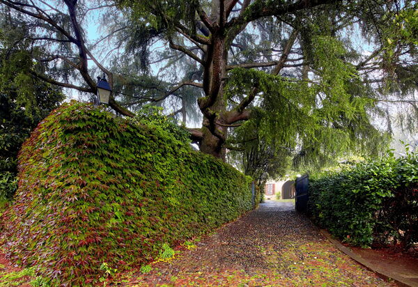 Villa Franciacorta: all'aperto, Autunno, Caratteristiche, Estate, Esterni, Giardino, Primavera