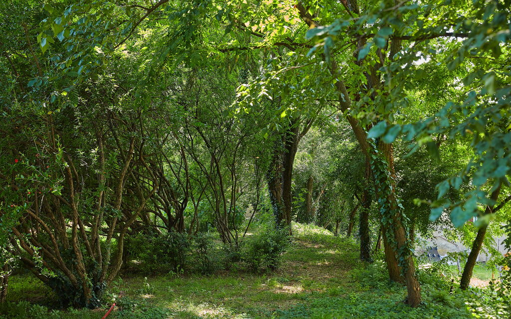 Villa Franciacorta: all'aperto, Autunno, Caratteristiche, Estate, Esterni, Giardino, Primavera