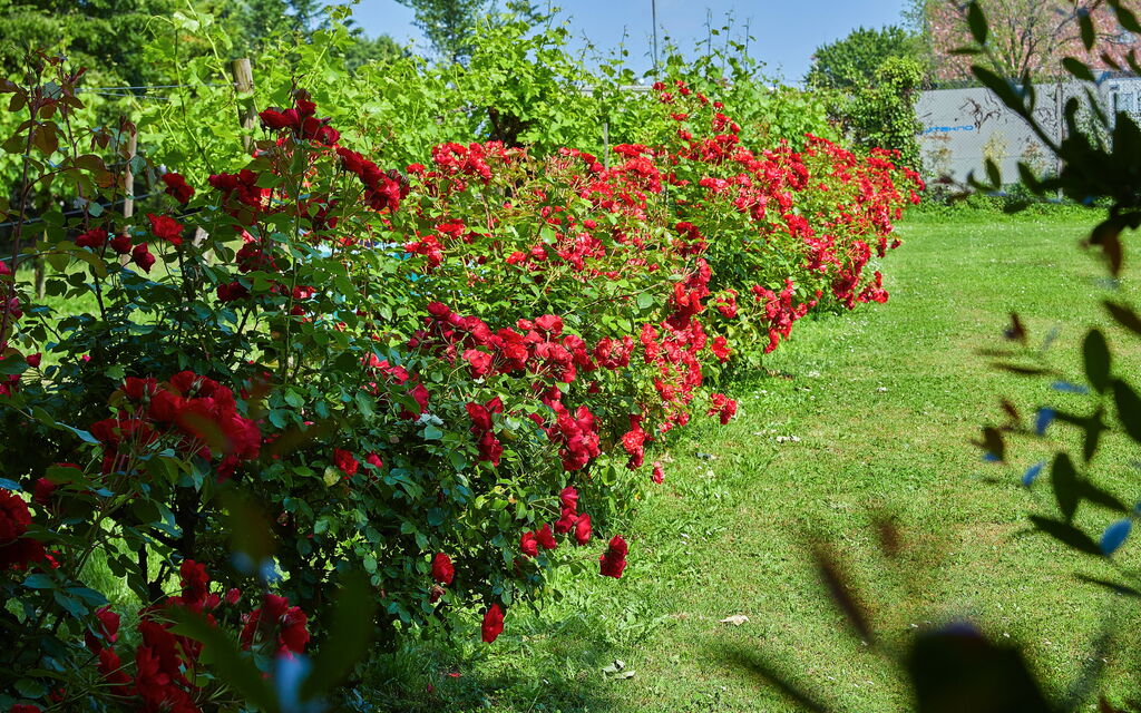Villa Franciacorta: all'aperto, Autunno, Caratteristiche, Estate, Esterni, Giardino, Primavera