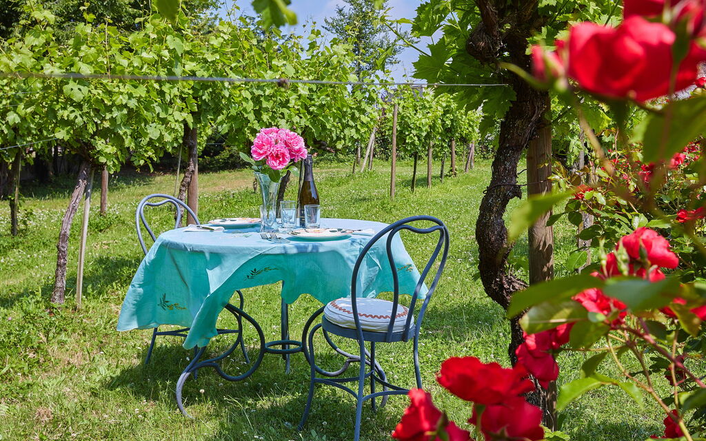 Villa Franciacorta: all'aperto, Autunno, Caratteristiche, Estate, Esterni, Giardino, Primavera
