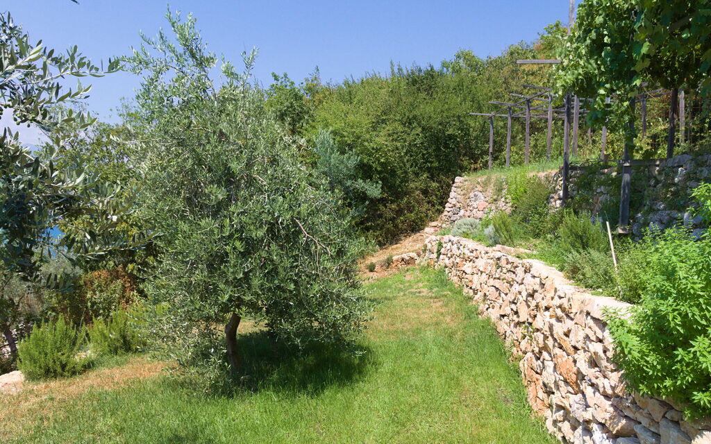 Villa D'ocra: all'aperto, Autunno, Caratteristiche, Estate, Esterni, Giardino, Primavera