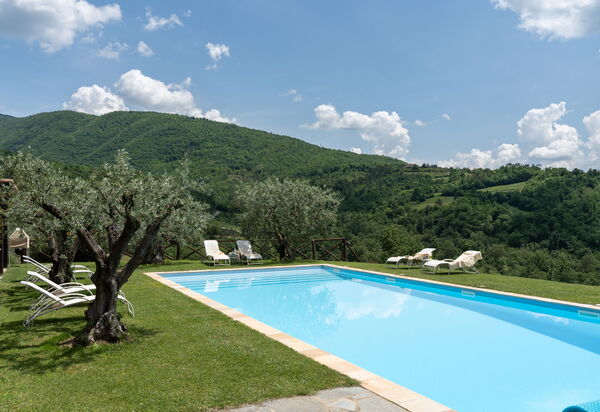 Villa Olivi - Subbiano, Toscana, Pool And Nature: Autunno, Caratteristiche, Estate, Esterni, Giardino, Piscina, Primavera