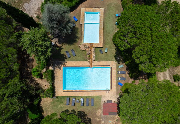 Villa Monte Bottigli: all'aperto, Estate, Esterni, Giardino, Piscina
