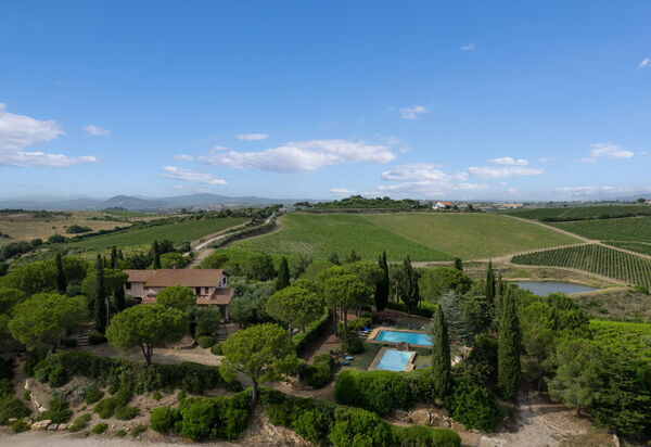 Villa Monte Bottigli: all'aperto, Autunno, Estate, Esterni, Giardino, Piscina, Primavera, Vista Panoramica