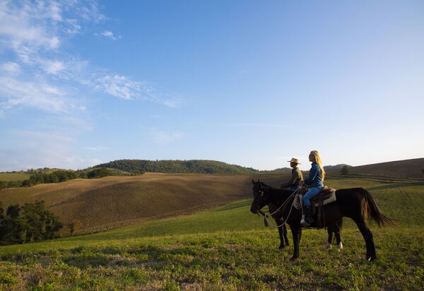 Villa Torre Delle Rose - Firenzuola, Private Pool, Ac, Privacy: Attività, Autunno, Estate, Primavera