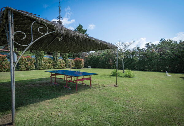 Mulino Al Suono - Badia Agnano, Toscana: Attività, Autunno, Caratteristiche, Estate, Esterni, Giardino, Primavera