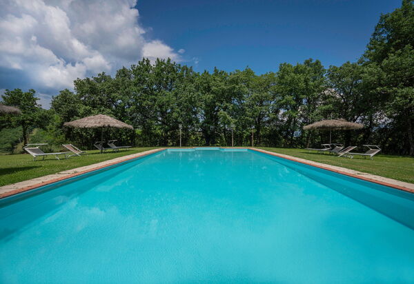 Belvedere - Falceto, Ambra, Toscana: Autunno, Caratteristiche, Estate, Esterni, Piscina, Primavera