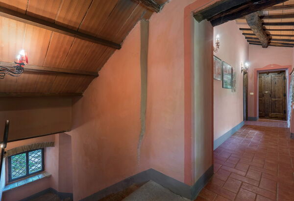 Colle Degli Ulivi - Cortona, Pool, Nature, Privacy