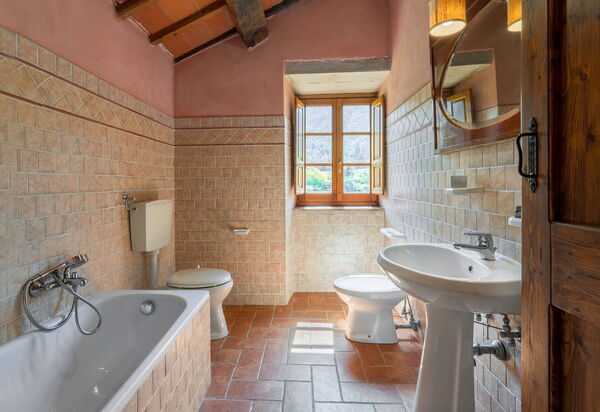 Colle Degli Ulivi - Cortona, Pool, Nature, Privacy