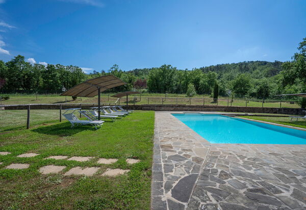 Leopolda In Selvarella Pool And Wi-fi: Autunno, Caratteristiche, Estate, Esterni, Giardino, Piscina, Primavera