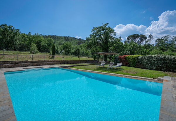 Leopolda In Selvarella Pool And Wi-fi: Autunno, Caratteristiche, Estate, Esterni, Giardino, Piscina, Primavera