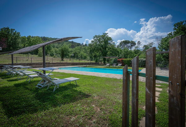 Leopolda In Selvarella Pool And Wi-fi: Autunno, Caratteristiche, Estate, Esterni, Giardino, Piscina, Primavera